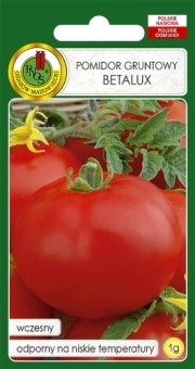 Pomidor Gruntowy BETALUX 1g