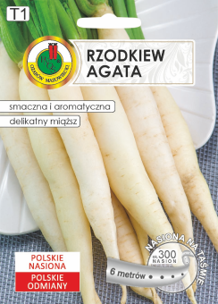 RZODKIEW AGATA 6m TAŚMA