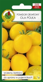 Pomidor Gruntowy OLA POLKA