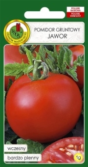 Pomidor Gruntowy JAWOR 1g