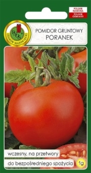 Pomidor Gruntowy PORANEK