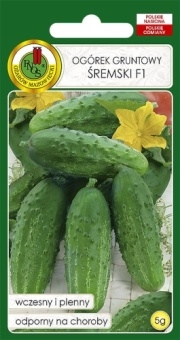 Ogórek gruntowy ŚREMSKI F1 5g