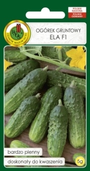 Ogórek gruntowy ELA F1 5g