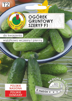 Ogórek gruntowy SZERYF F1 6m TAŚMA