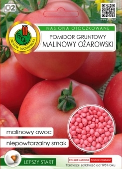 Pomidor Gruntowy MALINOWY OŻAROWSKI 