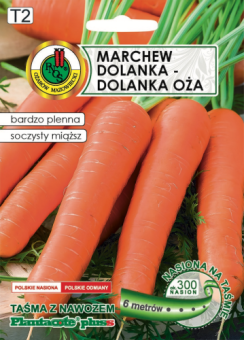 Marchew DOLANKA OŻAROWSKA 6m