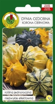 Dynia Ozdobna Korona Cierniowa Mieszana 1g