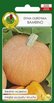 DYNIA OLBRZYMIA BAMBINO 5g