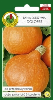 DYNIA OLBRZYMIA DOLORES 5g