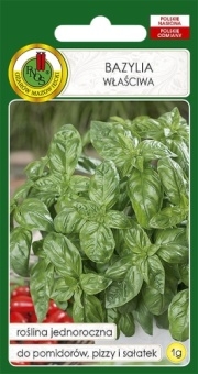 BAZYLIA Właściwa 1g