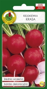 Rzodkiewka KRASA 10g