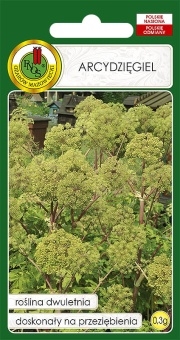 ARCYDZIĘGIEL 0,3g