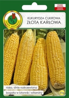 Kukurydza cukrowa ZŁOTA KARŁOWA 20g