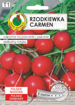 Rzodkiewka CARMEN 6m TAŚMA