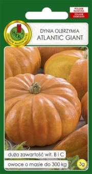 Dynia Olbrzymia ATLANTIC GIGANT 3g