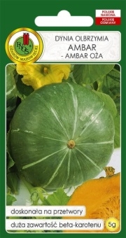 Dynia Olbrzymia AMBAR