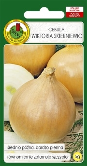 Cebula WIKTORIA SKIERNIEWIC