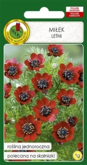 MIŁEK Letni 1g