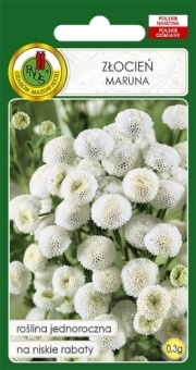 ZŁOCIEŃ Maruna 0,3g