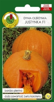 Dynia Olbrzymia JUSTYNKA F1