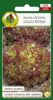SAŁATA LIŚCIOWA LOLLO ROSSA 1g