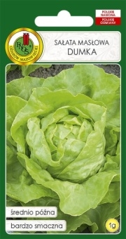 SAŁATA GŁOWIASTA MASŁOWA DUMKA 1g