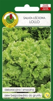 SAŁATA LIŚCIOWA LOLLO  1g