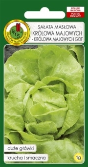 SAŁATA GŁOWIASTA MASŁOWA KRÓLOWA MAJOWYCH-KRÓLOWA MAJOWYCH GOF 1g