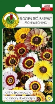 ZŁOCIEŃ Trójbarwny FROHE MISCHUNG 1g