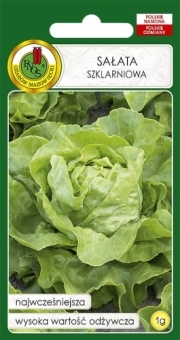 Sałata głowiasta szklarniowa ATENA 1g