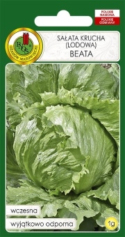 Sałata głowiasta krucha BEATA 1g