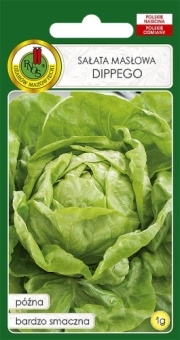 Sałata głowiasta masłowa DIPPEGO 1g
