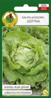 Sałata głowiasta masłowa JUSTYNA 1g