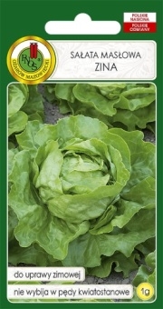 Sałata głowiasta masłowa zimująca ZINA 1g