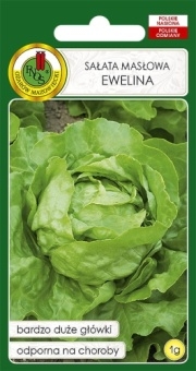 Sałata głowiasta masłowa EWELINA 1g