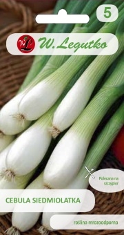 Cebula siedmiolatka Winter Nest - wielopędowa 2g