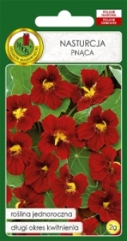 NASTURCJA Pnąca 2g