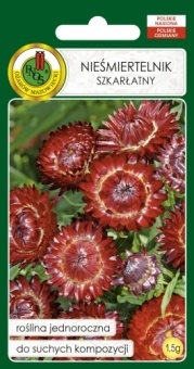 NIEŚMIERTELNIK szkarłatny 1,5g