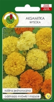 AKSAMITKA Wysoka 1g