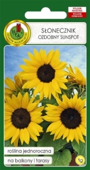 SŁONECZNIK ozdobny Sunspot 1g