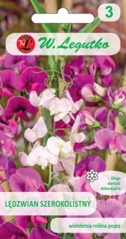 Lędźwian szerokolistny nasiona 2 g - Legutko