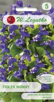 Fiołek wonny nasiona 0,3 g - Legutko