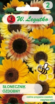 Słonecznik Ozdobny