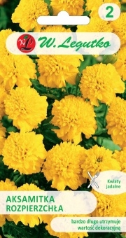 Aksamitka rozpierzchła żółta nasiona 1 g - Legutko