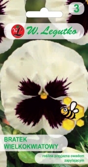 Bratek 'Silberbraut' nasiona 0,5 g - Legutko