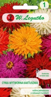 Cynia wytworna kaktusowa nasiona 1 g - Legutko