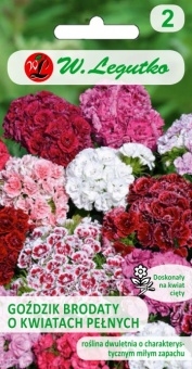 Goździk brodaty pełny 0,5 g - Legutko