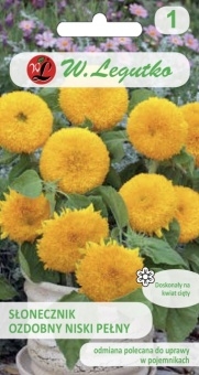 Słonecznik ozdobny niski nasiona 2 g - Legutko