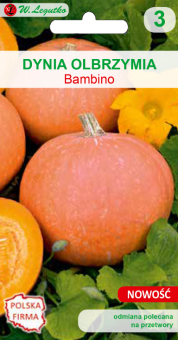 Dynia olbrzymia Bambino 4g