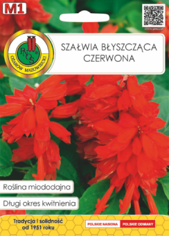 Szałwia Błyszcząca Czerwona